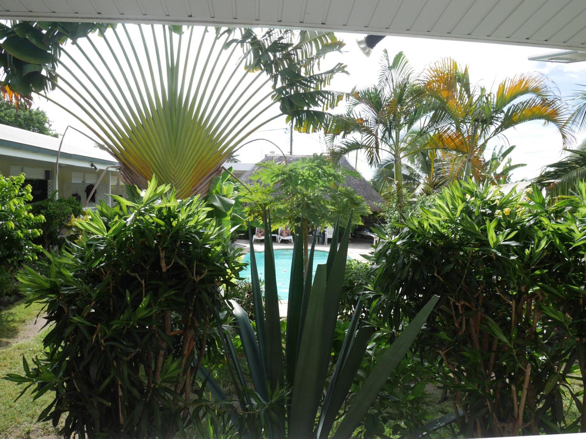 Pension De La Plage Punaauia  Habitación foto